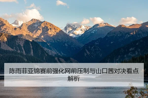陈雨菲亚锦赛前强化网前压制与山口茜对决看点解析